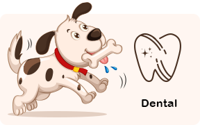 Dental