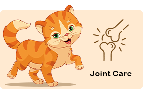 Joint Care