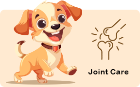 Joint Care