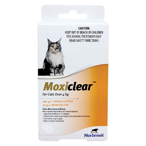 Moxiclear for Large Cats Over 4 kg Orange