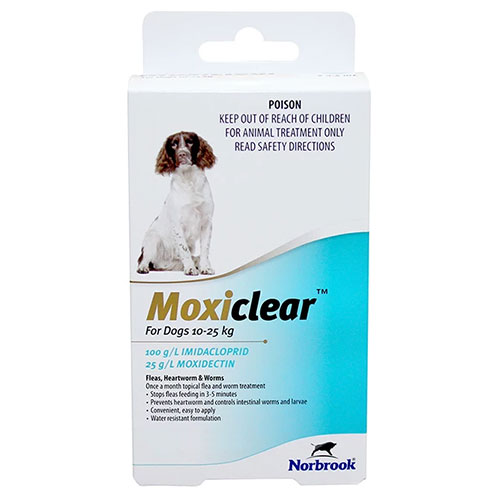 Moxiclear  for Medium Dogs 10-25 kg Teal
