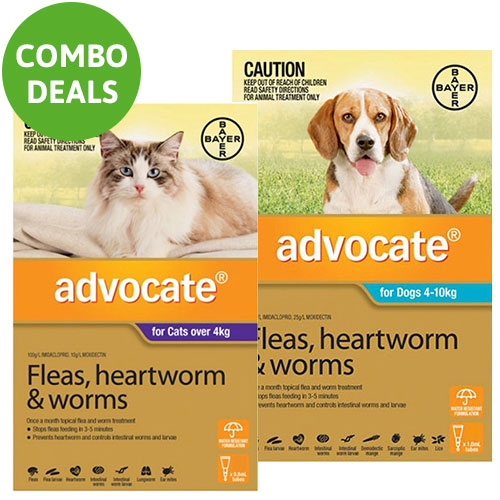 Advocate for Cats Over 4 kg + Advocate for Dogs for Dogs