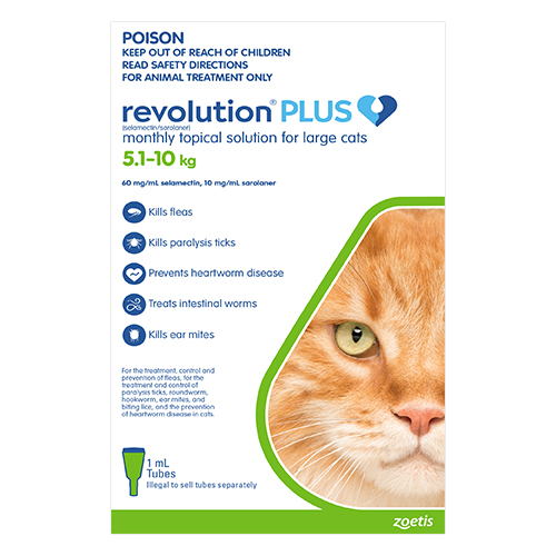 Buy Revolution Plus For Large Cats 5 10kg (Green) Free Shipping