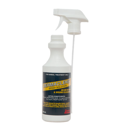Dermaclens Spray for Dogs & Cats