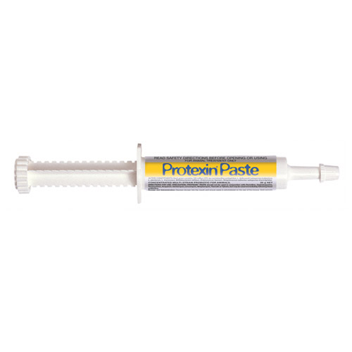 Protexin Paste for Dogs