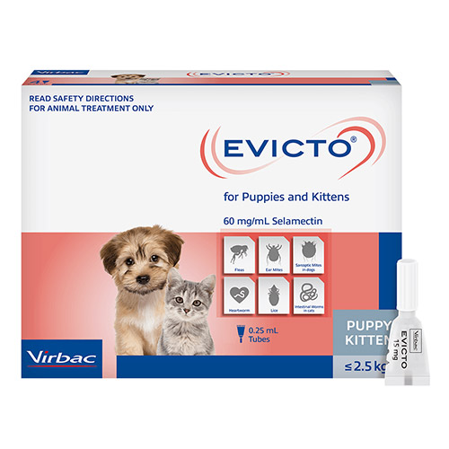 Evicto Spot-on FOR KITTENS/PUPPIES 2.5KG (GREY)	