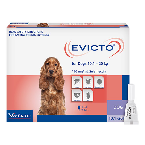 Evicto FOR MEDIUM DOGS 10-20KG (BLUE)	