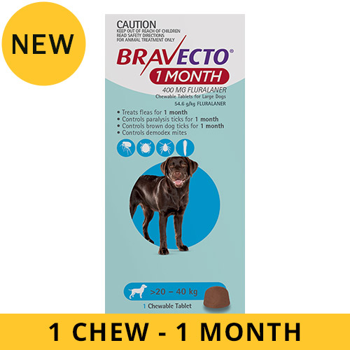 Buy Bravecto 1 Month Chew For Dogs 2040 Kg Large (Blue) Free Shipping