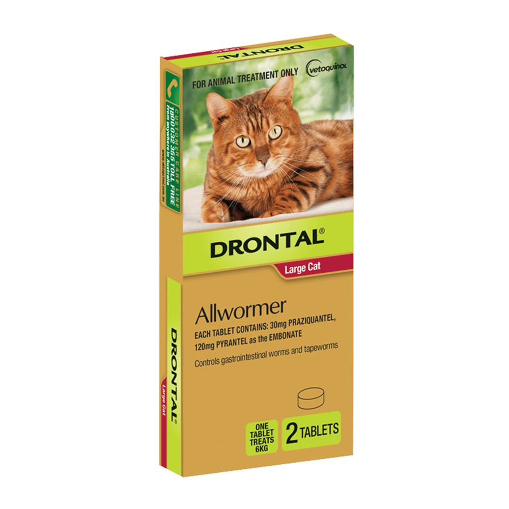 Buy Drontal Wormers Cats For Large Cats 6kg Free Shipping