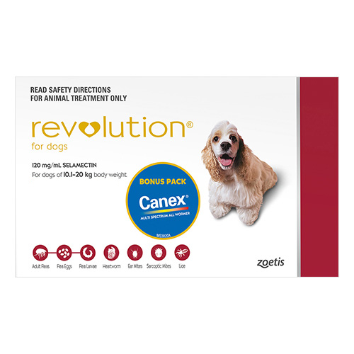 Revolution For Medium Dogs 10.1 To 20Kg (Red)