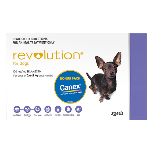 Revolution For Very Small Dogs 2.5 To 5Kg (Purple)