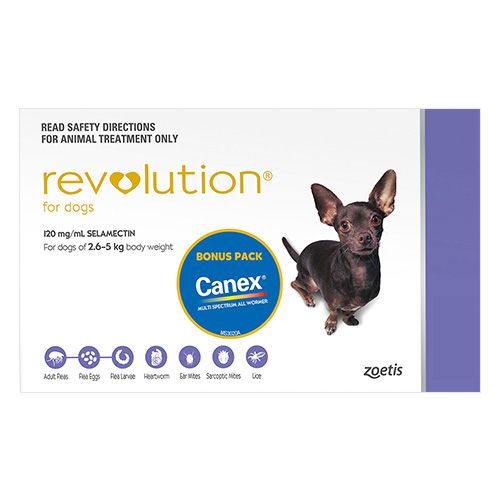 revolution-for-dogs-revolution-flea-treatment-for-dogs-online