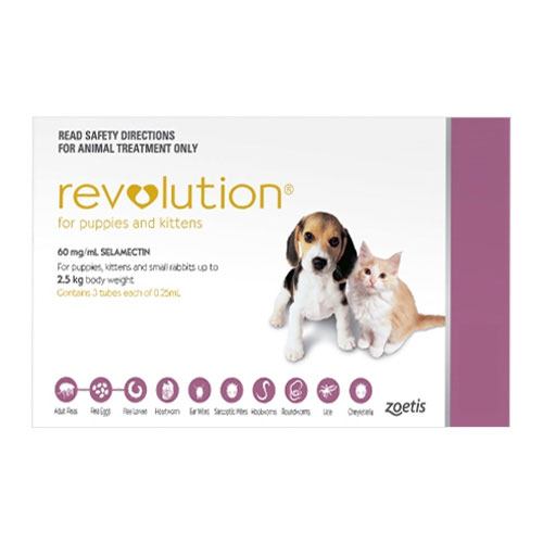 Revolution for Dogs