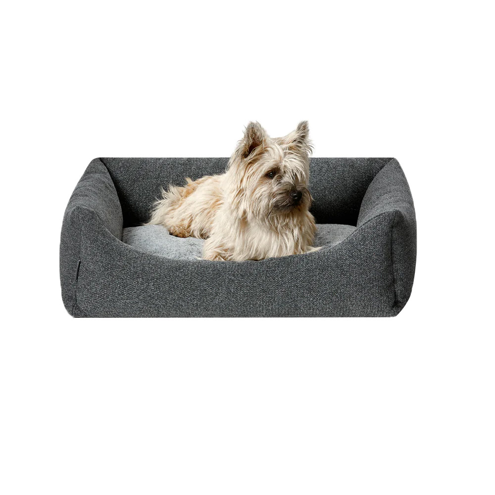 Buy Snooza Low Front Lounger For Dogs Grey Free Shipping