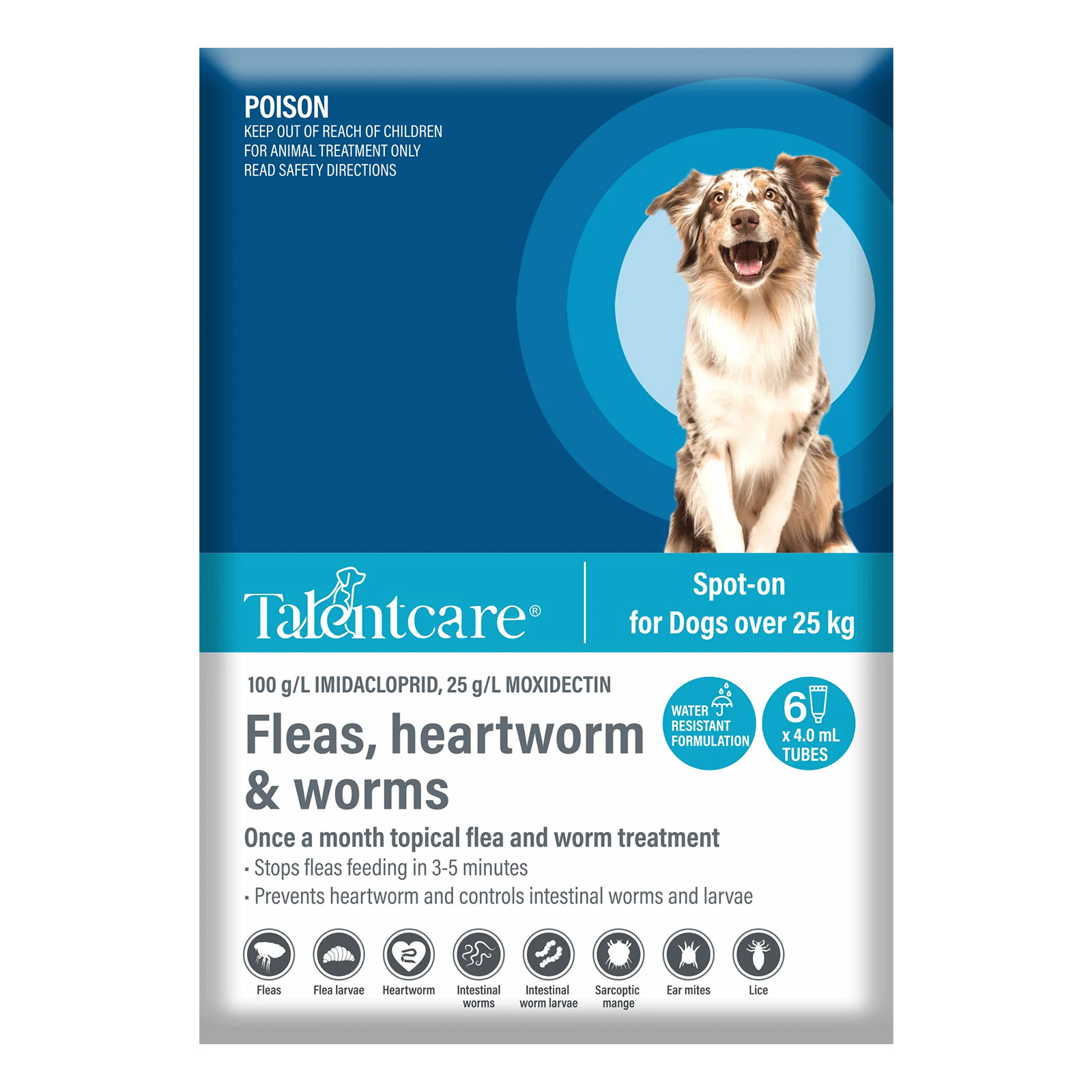 Talentcare Spot On Dog Flea & Worm Treatment Effective Flea and Worm