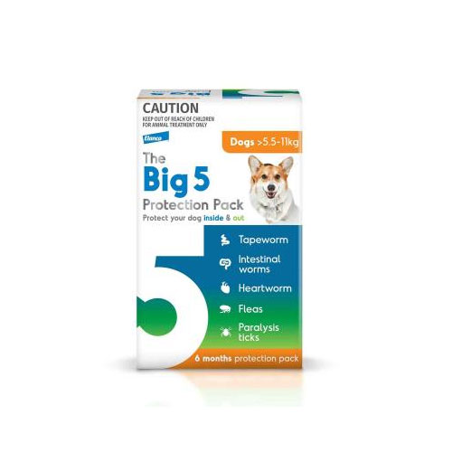 The Big 5 Protection Pack for Medium Dogs (5.5-11 kg) Orange