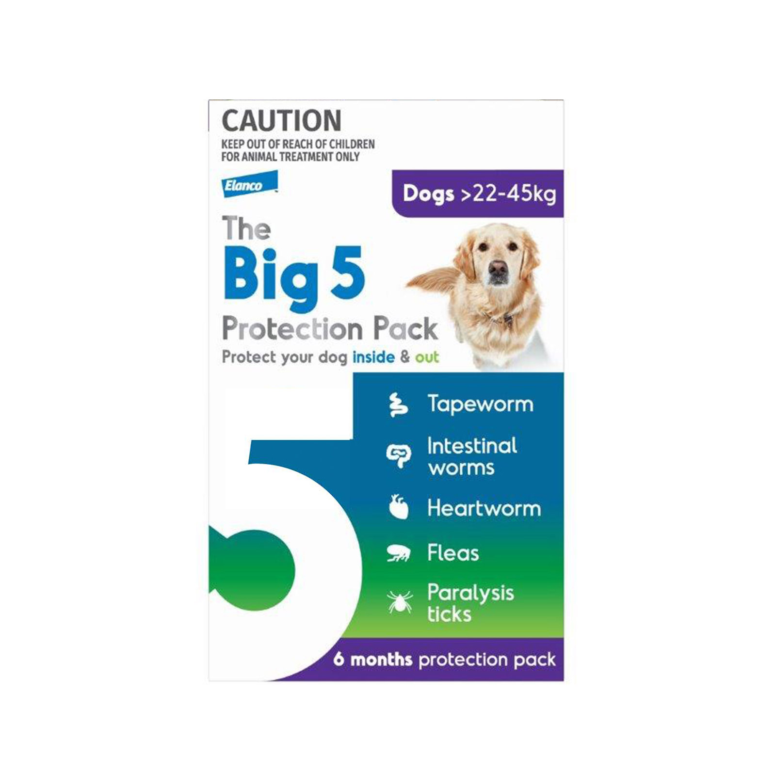 The Big 5 Protection Pack for XLarge Dogs (22-45 kg) Purple