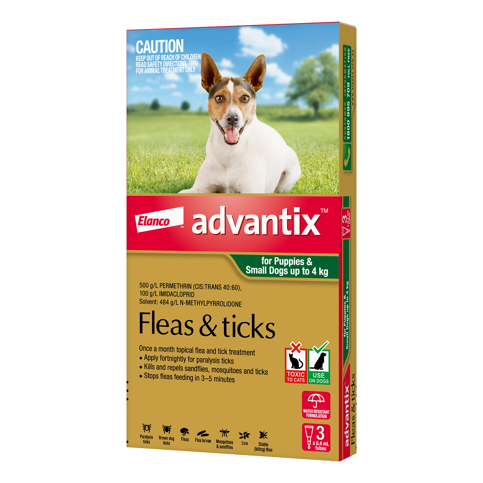 flea medication dog