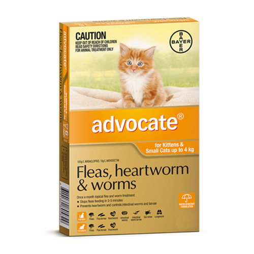 Advocate for Cats