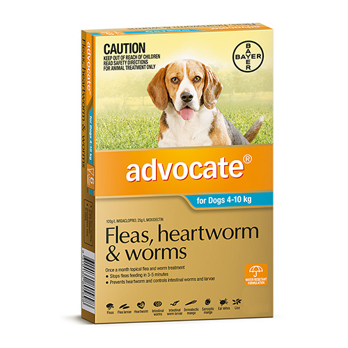 Advocate for Dogs For Medium Dogs 4 to 10 Kg (Aqua)