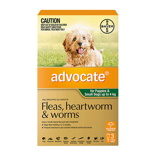 Advocate for Dogs