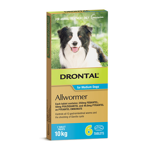 Drontal Wormers - Dogs Wormers Tabs For Dogs 10Kg (Aqua)