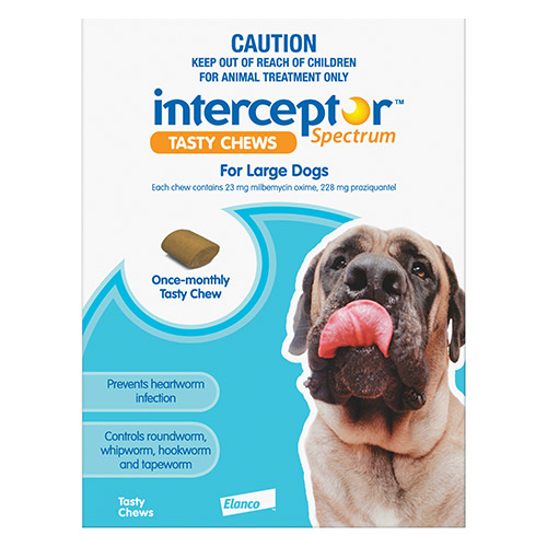 Interceptor Spectrum Tasty Chews For Large Dogs 22 To 45Kg (Blue)