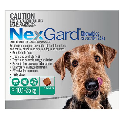 Buy Nexgard Chewables For Dogs 10.1 - 25 Kg (Green) - Free Shipping