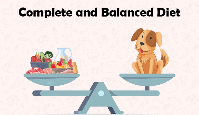 Complete-and-Balanced-Diet