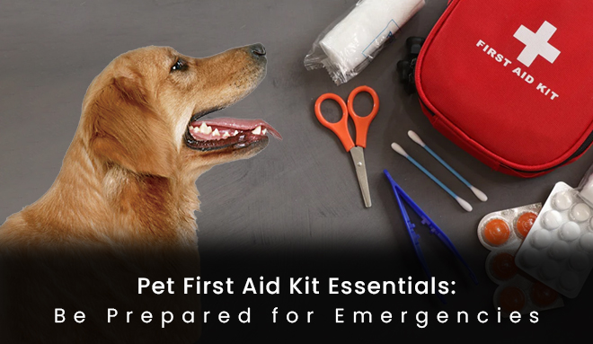 Pet First Aid Kit Essentials