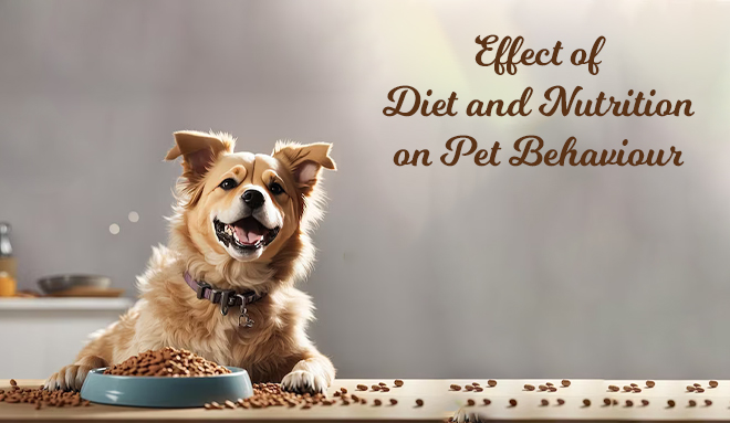 Diet and Nutrition on Pet Behaviour