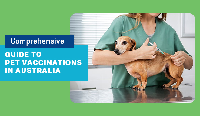 Comprehensive Guide to Pet Vaccinations in Australia