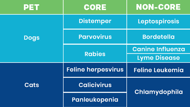Core and Non-Core Vaccinations for Dogs and Cats