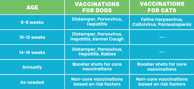 Pet Vaccination Schedule