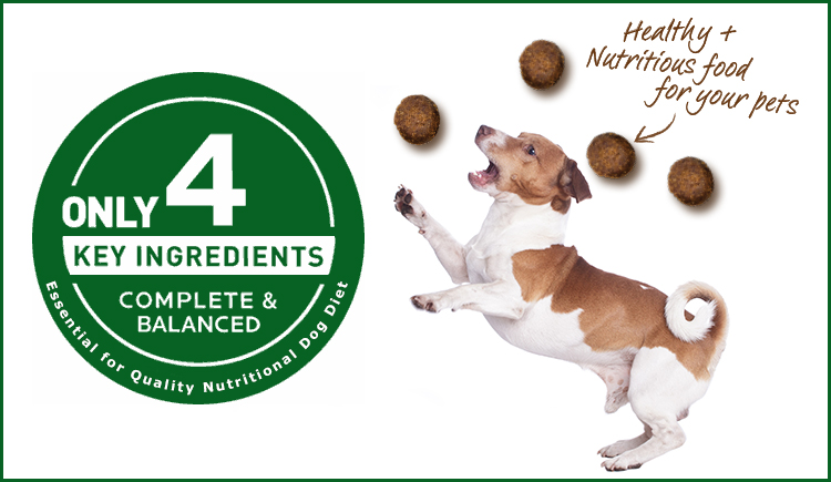 4 Ingredients that are Essential for Quality Nutritional Dog Diet ...