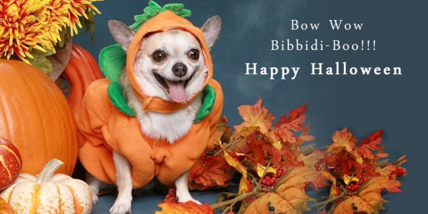 Happy Halloween