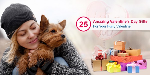 25 Amazing Valentine's Day Gifts For Your Furry Valentine