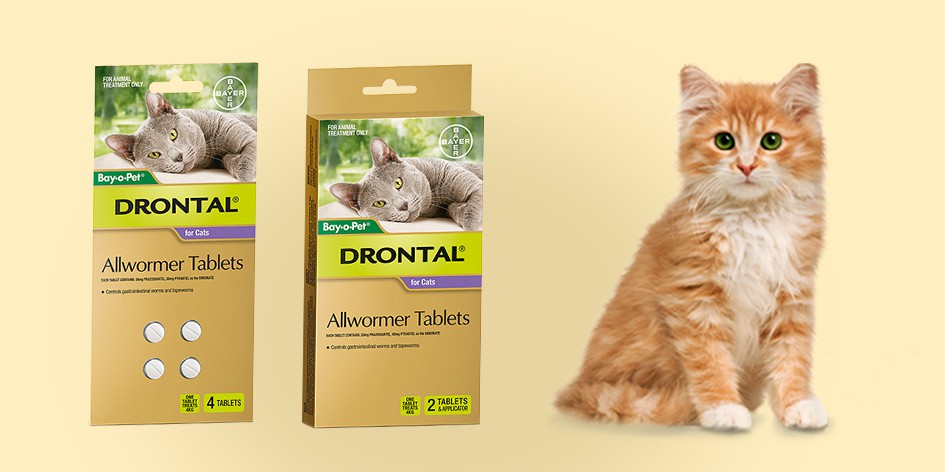 drontal feline side effects