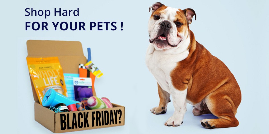Shop Hard For Your Pets