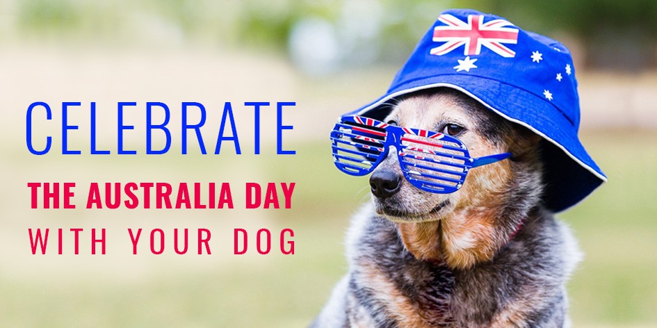 Celebrate The Australia Day With Your Dog | DiscountPetCare
