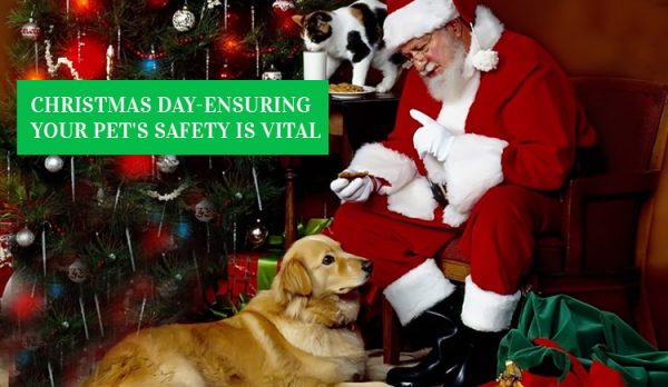 DPCAU-Christmas-Day-Ensuring