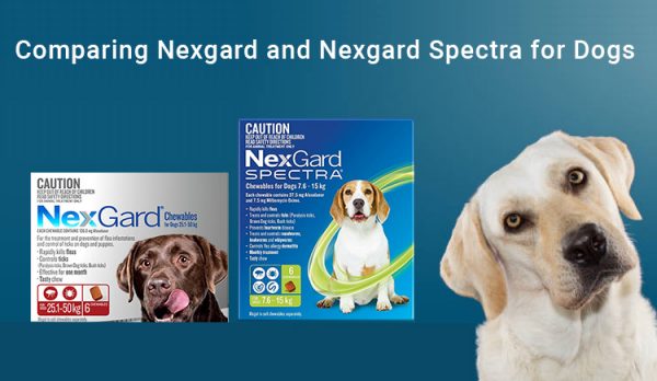 Difference between Nexgard and Nexgard Spectra
