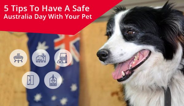 Tips to celebrate Australia's Day