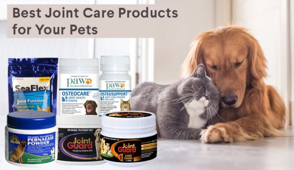 Best Joint Care Products For Cats