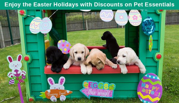 Easter Sale on Pet Supplies
