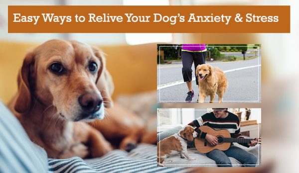 Easy Ways to Relieve Anxiety Stress