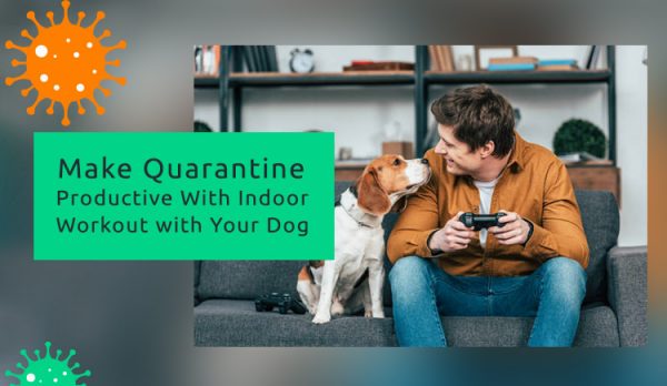 Quarantine with pets