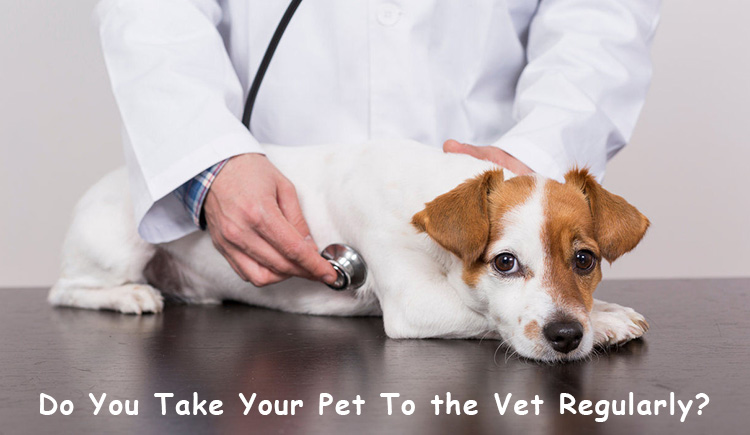 Do you take your pet to a vet regularly?
