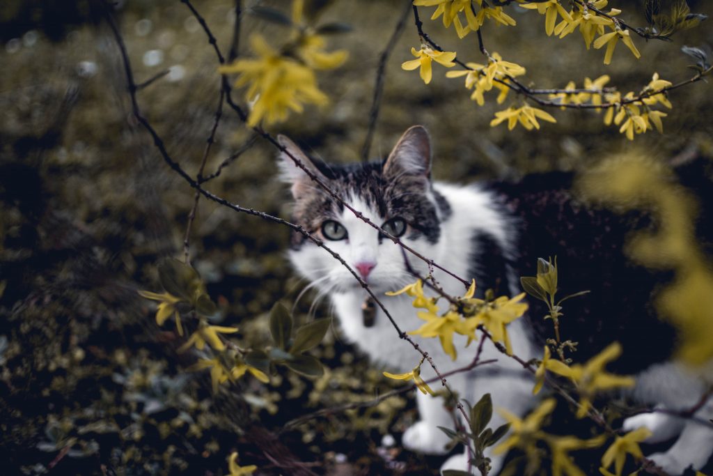 Playing hide n seek