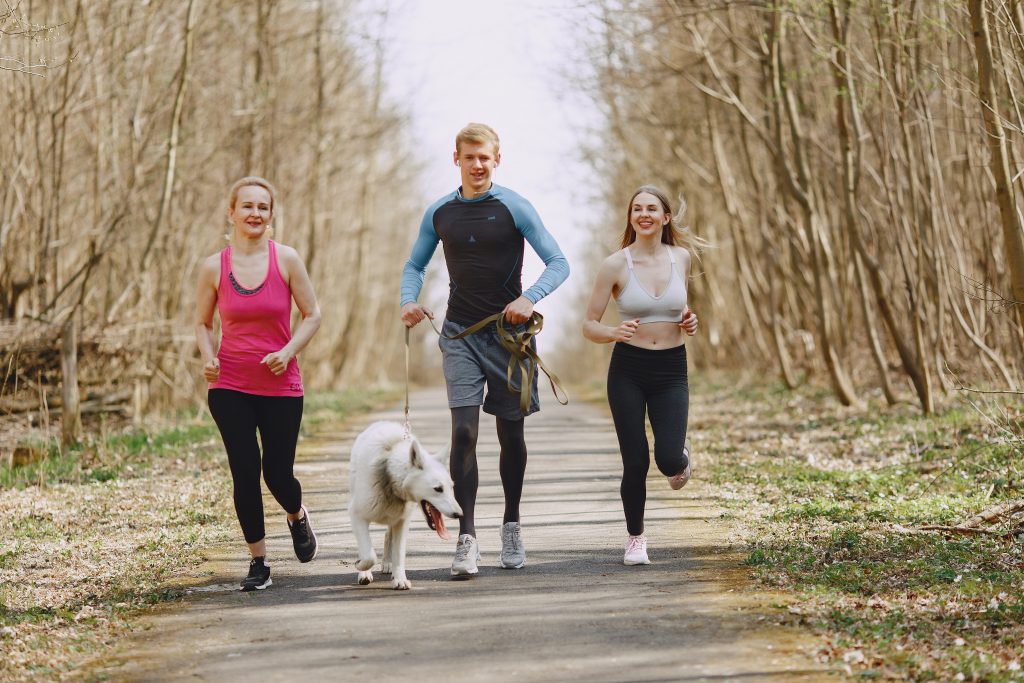 They Help You Stay Healthy And Fit